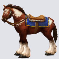 ridinghorseskinpintot
